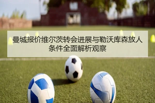 曼城报价维尔茨转会进展与勒沃库森放人条件全面解析观察